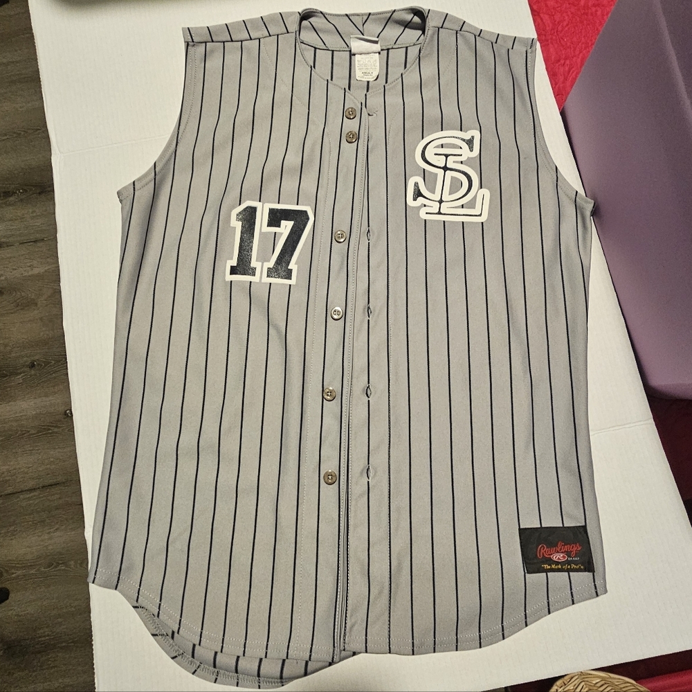 Rawlings baseball jersey vest 17 SF Adult Large Grey Blue Stripe Gray